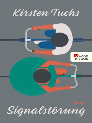 cover image of Signalstörung
